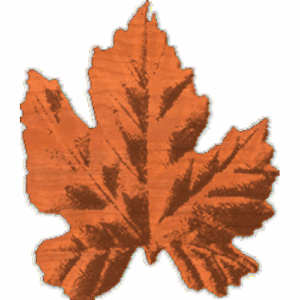 Leaf4 - CL